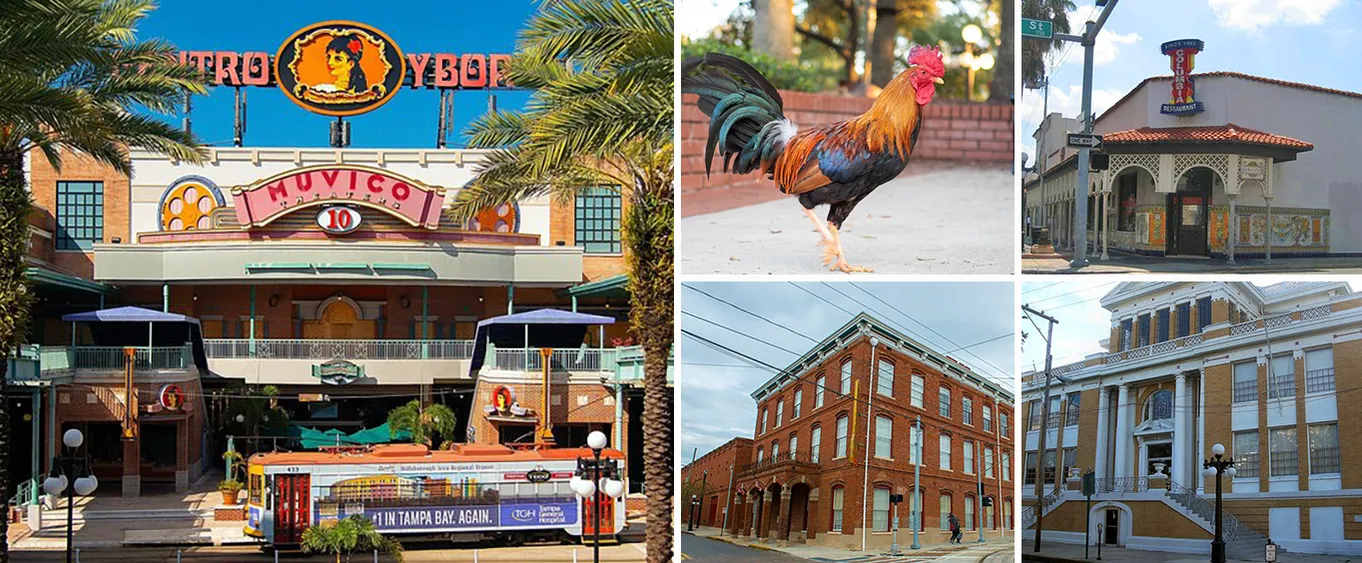 Ybor City Immigrant Influence Smart Phone Guided App (gps) Walking Tour