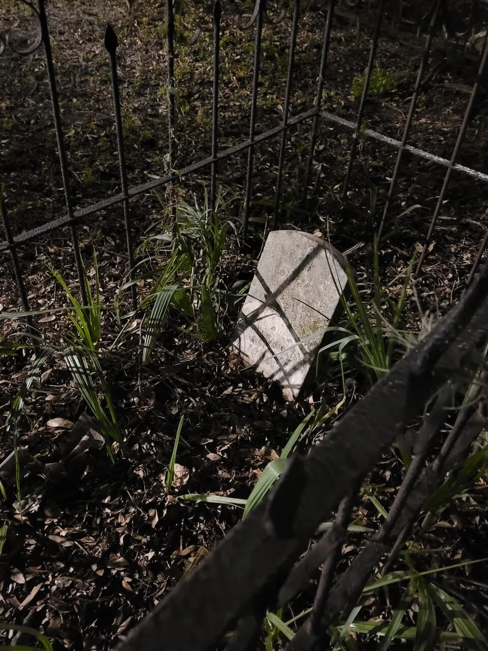A toppled gravestone lies inside a weathered metal fence surrounded by foliage and ground cover