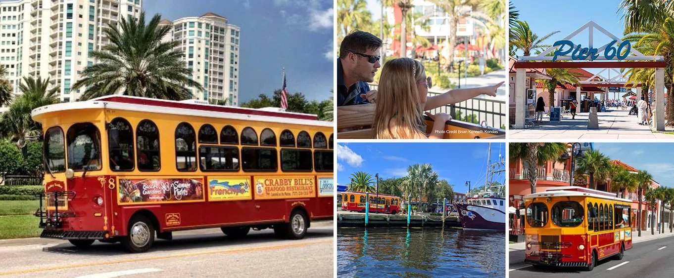 Clearwater Sightseeing Tour