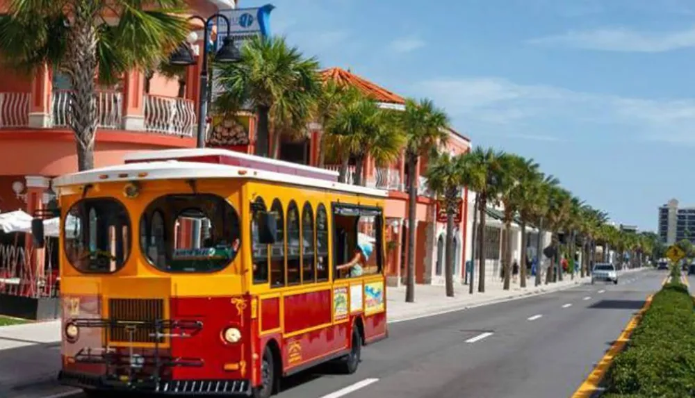 A yellow and red trolley-like bus is driving down a sunny palm-tree-lined street with buildings and a clear blue sky in the background