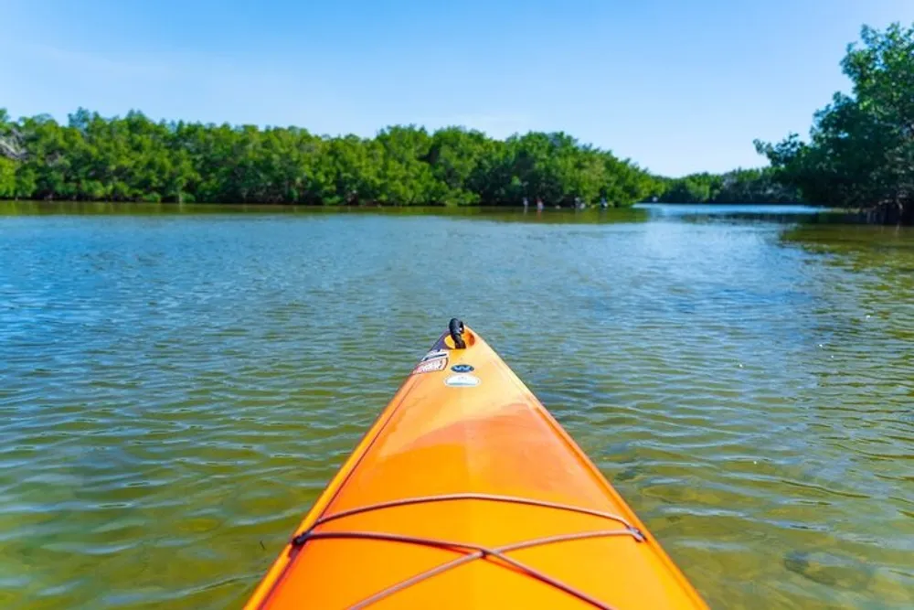 An orange kayak is navigating through tranquil waters with lush greenery on the banks under a clear blue sky