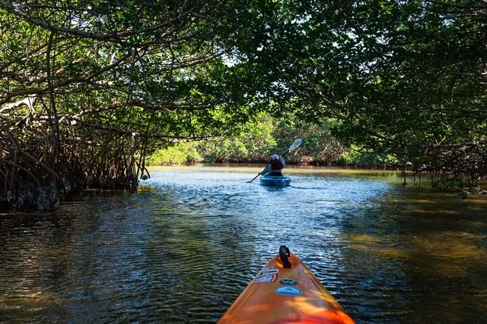 A person is kayaking down a serene waterway surrounded by mangrove trees as seen from the perspective of another kayaker