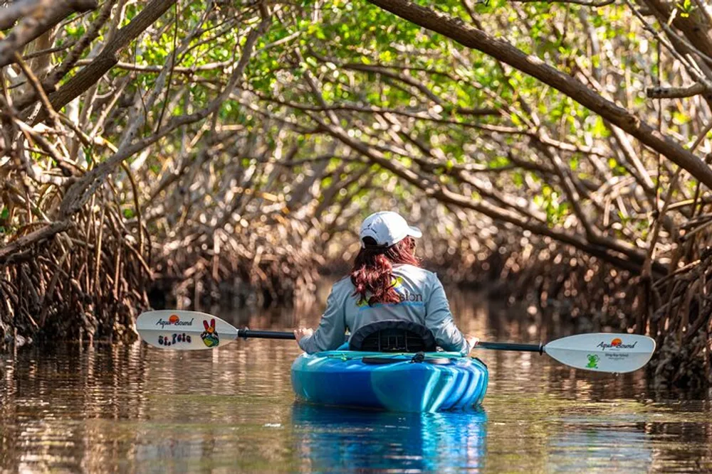 A person is kayaking through a serene mangrove tunnel flanked by dense overhanging branches