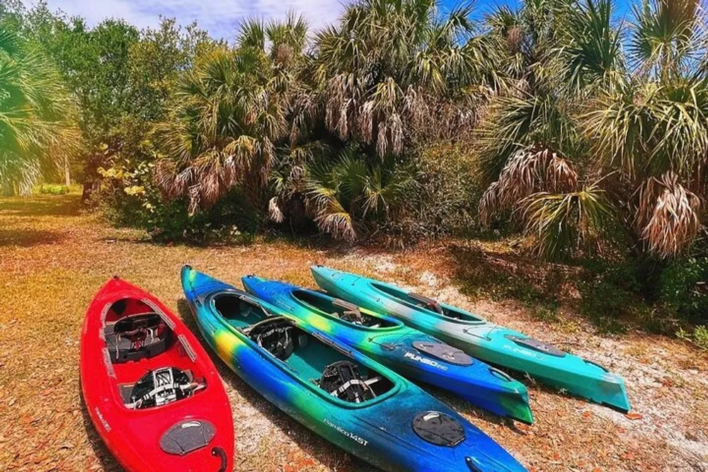 A row of colorful kayaks lies on the ground near a cluster of palm trees under a bright sunny sky