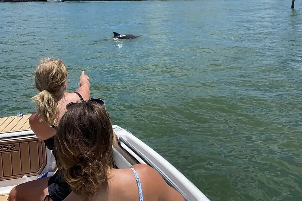 Two people are admiring a dolphin from the back of a boat on a sunny day