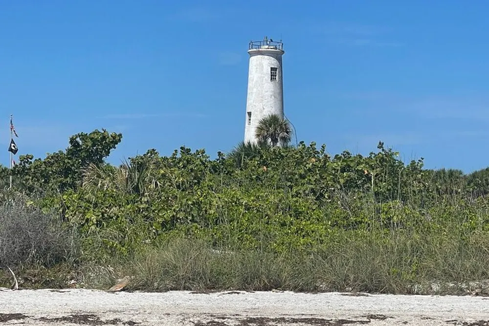 An old lighthouse surrounded by dense green foliage stands against a clear blue sky