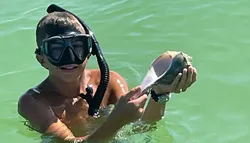 Popular Snorkeling & Diving