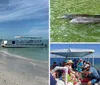 A group of people are enjoying a sunny day on a shelling and dolphin watch tour boat cruising through blue waters