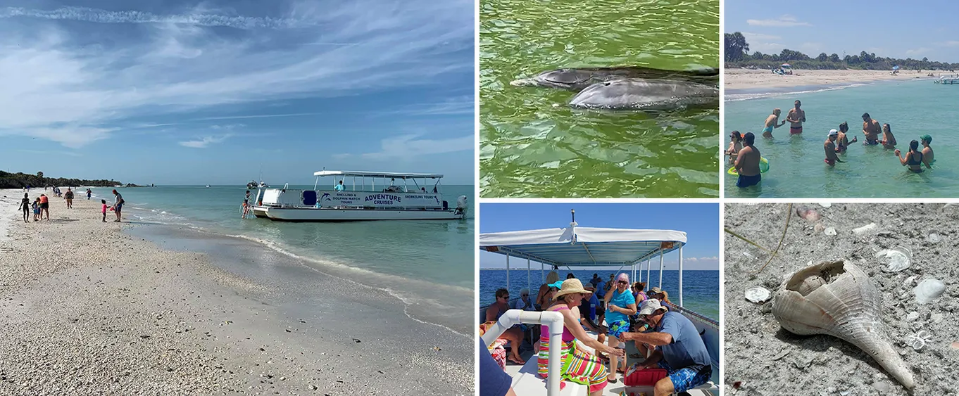 Dolphin and Shelling Tours Snorkeling Tours Private Charters