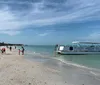 A group of people are enjoying a sunny day on a shelling and dolphin watch tour boat cruising through blue waters