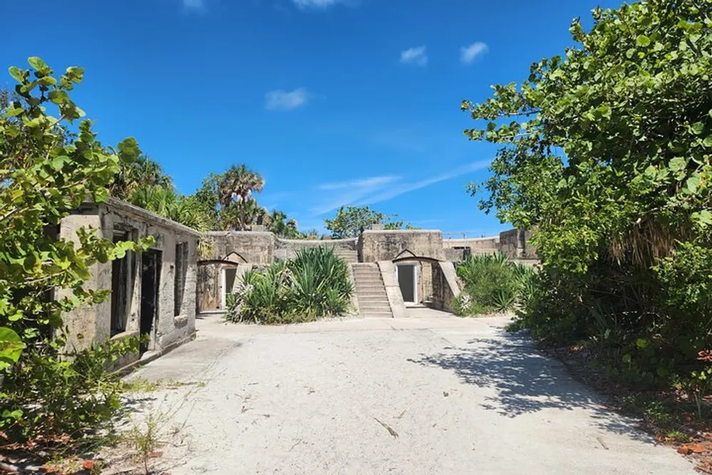 The image shows a sunny view of an abandoned overgrown structure with concrete walls doorways and stairs surrounded by lush green foliage under a blue sky