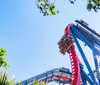 Thrilled riders are captured mid-air on a roller coaster with expressions of excitement and joy against a clear blue sky