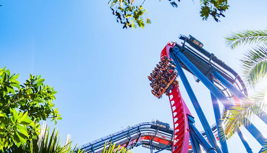 Thrill-seekers experience an adrenaline rush on a steep roller coaster drop against a clear blue sky, framed by lush green foliage.