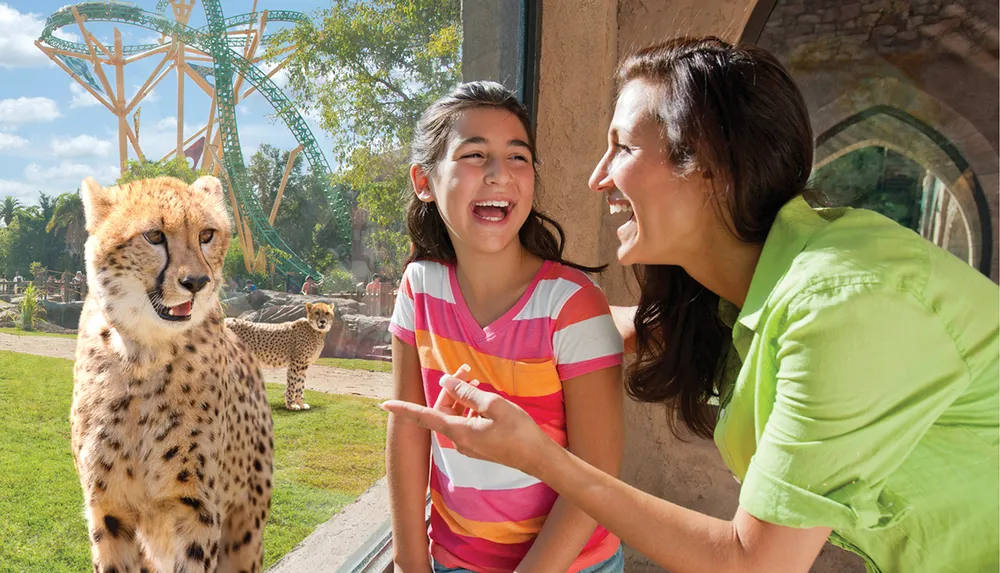 A woman and a girl are laughing together next to a glass window with cheetahs and a roller coaster in the background suggesting they are at an amusement or animal park
