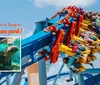 The image promotes Tampas best theme park featuring a vibrant roller coaster and an inset of a child observing a hippo underwater
