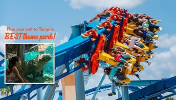 The image promotes Tampa's best theme park, featuring a vibrant roller coaster and an inset of a child observing a hippo underwater.