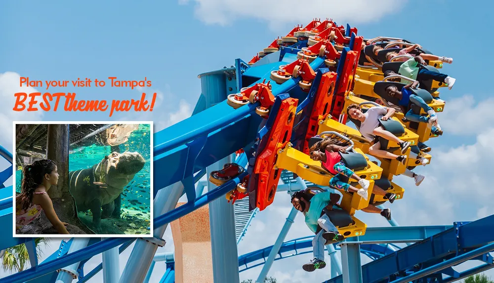 The image promotes Tampas best theme park featuring a vibrant roller coaster and an inset of a child observing a hippo underwater