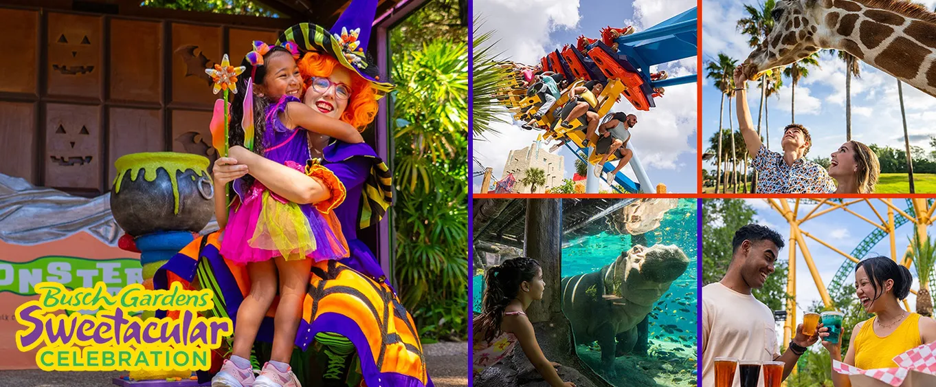 Busch Gardens Tampa