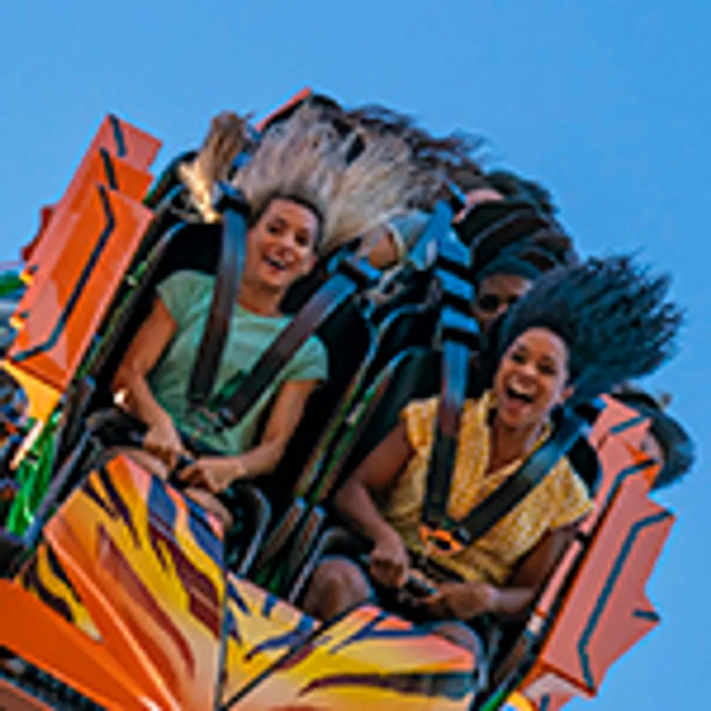 Two people are joyfully riding a roller coaster with their hair flying upwards