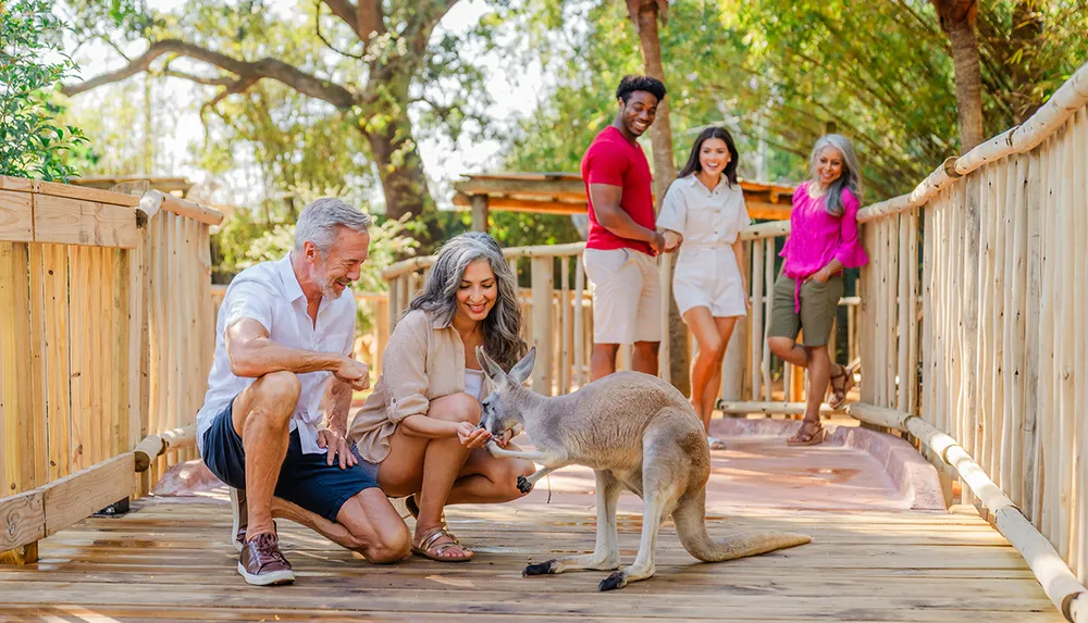 A group of people are joyfully interacting with a kangaroo on a wooden walkway surrounded by trees