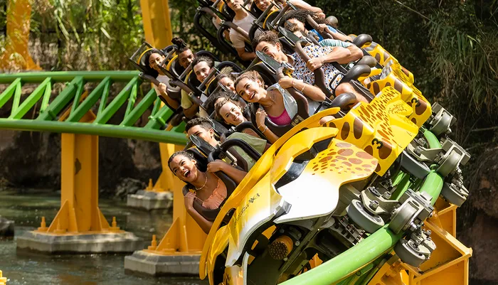 Busch Gardens Tampa Photo