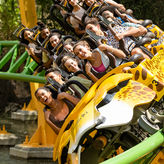 Busch Gardens Tampa Bay Howl-O-Scream Night Ticket 