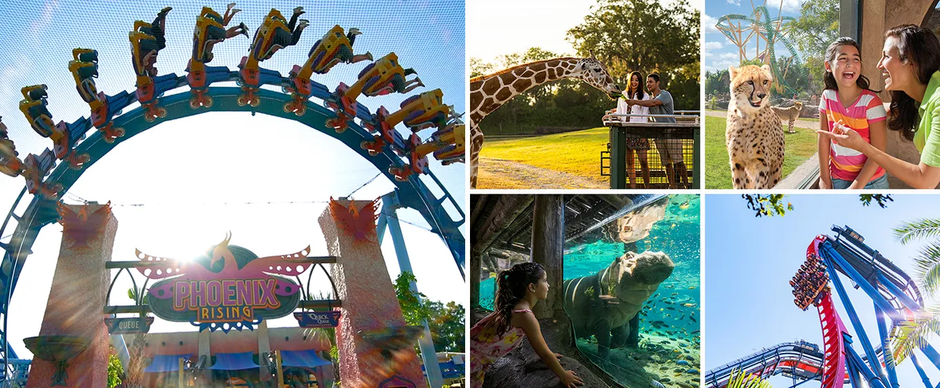 Busch Gardens Tampa