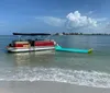 A pontoon boat with a slide is moored near the shore on a clear day with puffy clouds in the sky