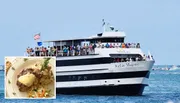 A group of passengers is enjoying the view from the decks of the StarLite Majesty dining cruise ship as it sails in a body of water.