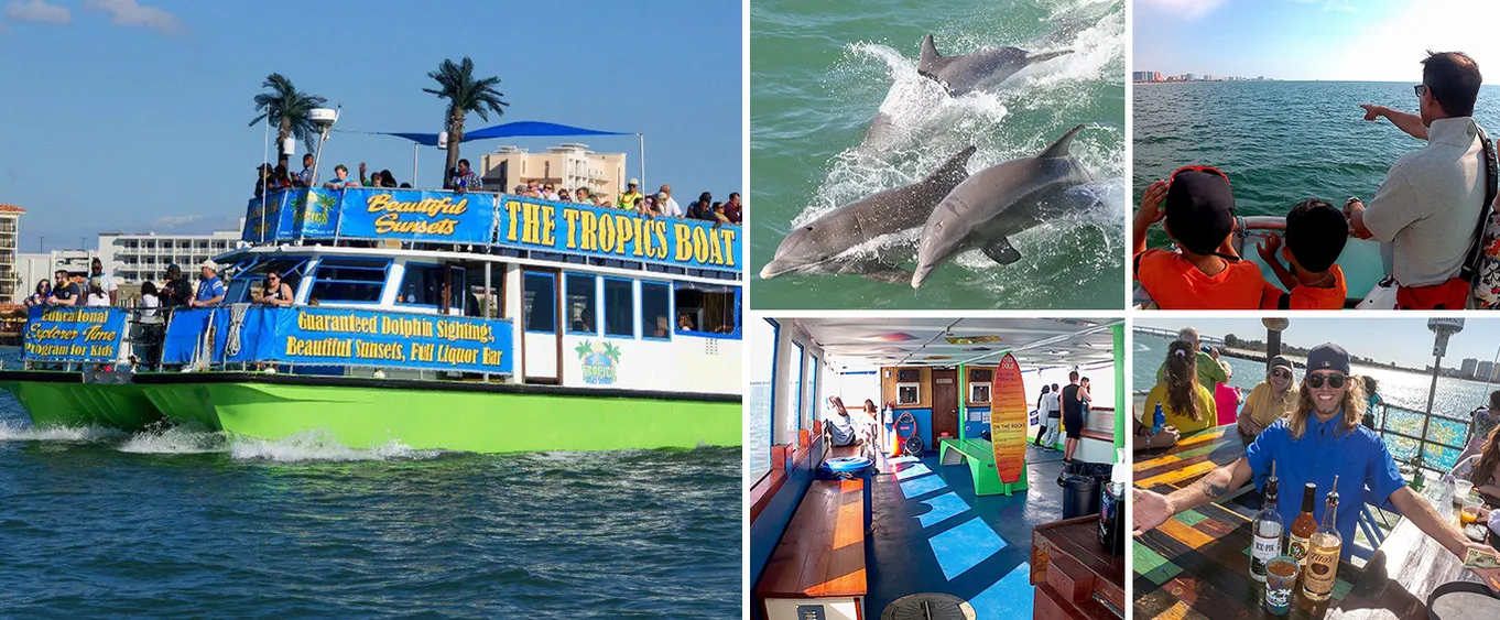 Clearwater Dolphin Cruise