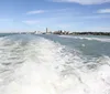 Two dolphins are leaping out of the ocean waves side by side