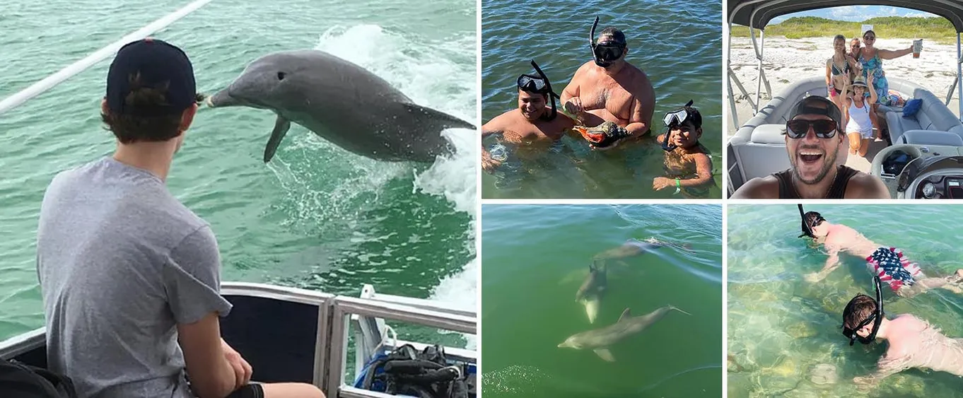 Dolphin Watch Cruise with Snorkeling to Shell Key
