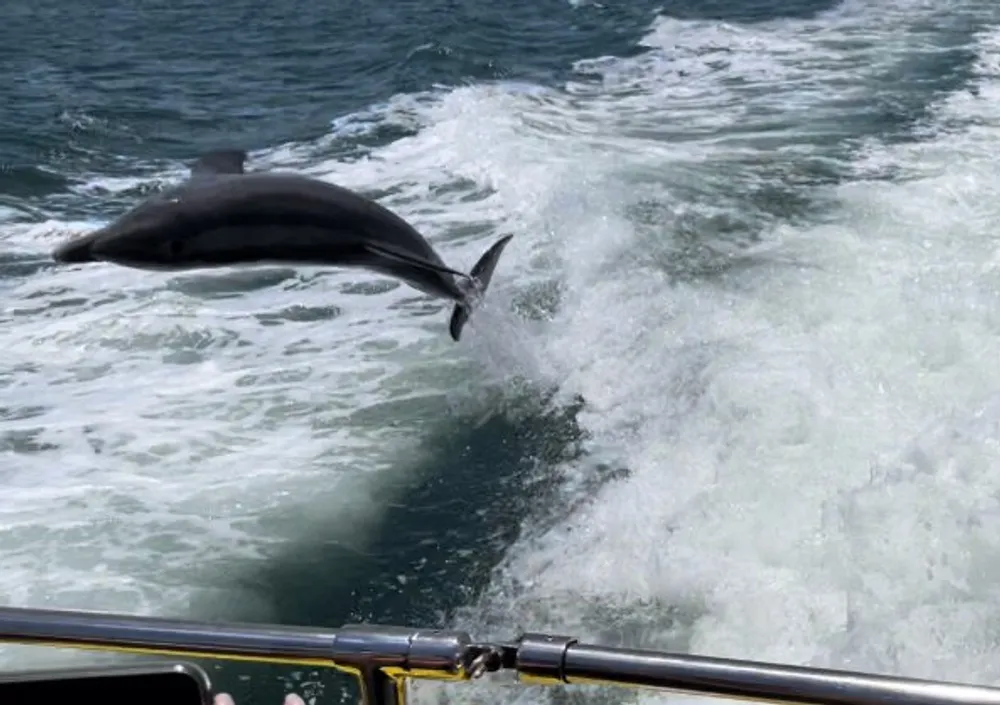 A dolphin is leaping out of the water beside a boat creating a splash