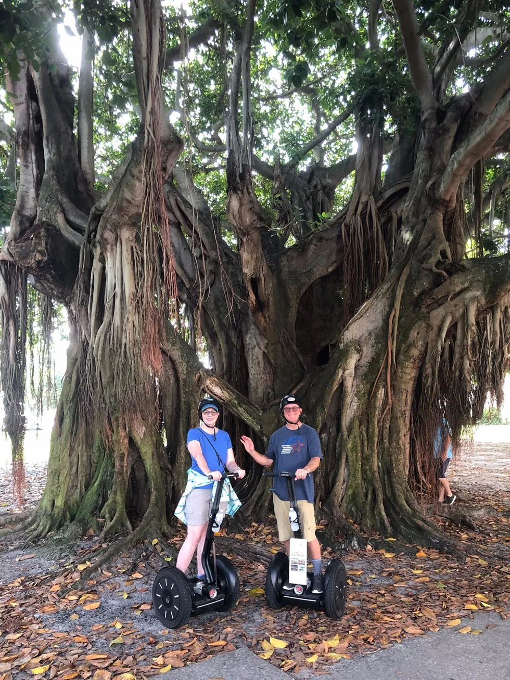 Two people wearing helmets are standing beside Segways in front of a large banyan tree with extensive aerial roots