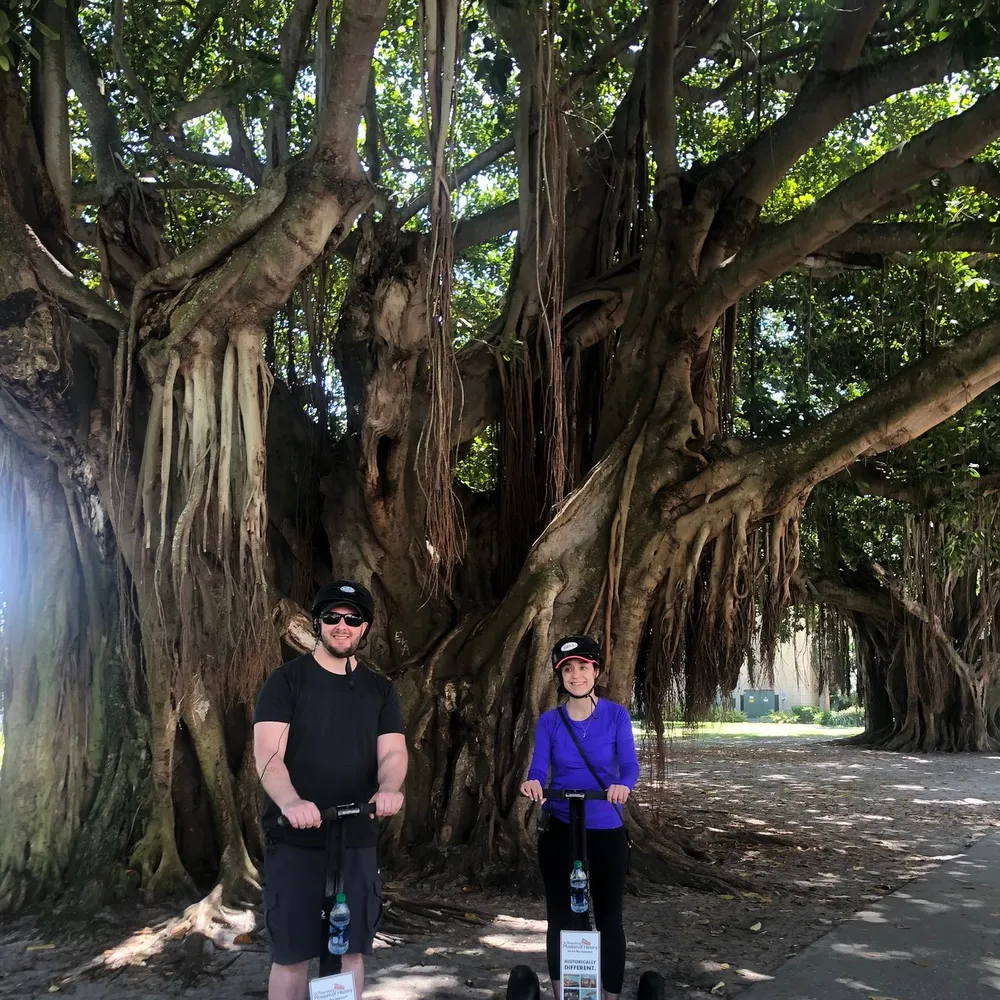 Two people are standing in front of an impressive banyan tree with intertwined and hanging roots each with a scooter wearing helmets and smiling