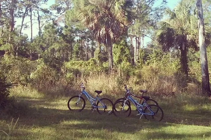 Boyd Hill Nature Preserve Bike Tour from St Petersburg Photo
