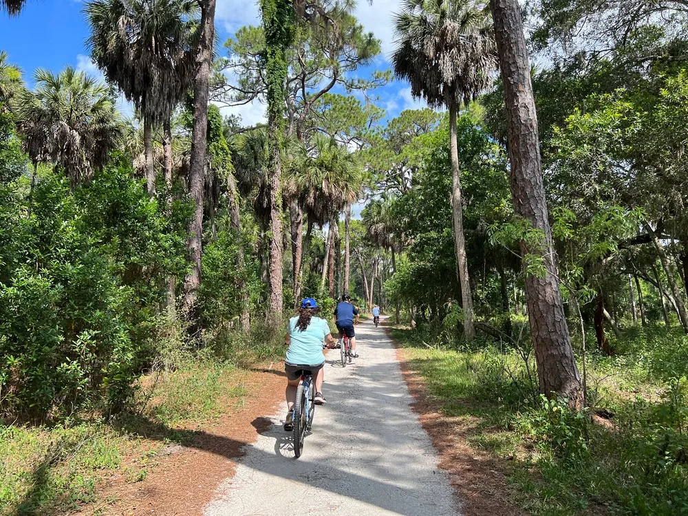 Cyclists are riding along a tranquil tree-lined path on a sunny day