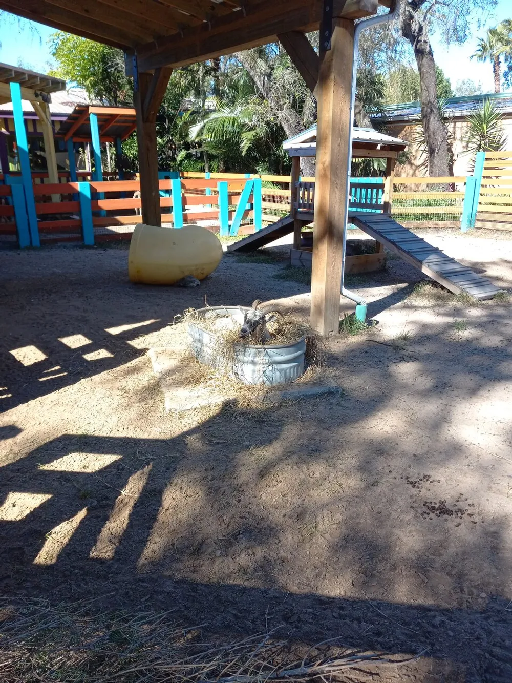 The image shows a sunny outdoor play area with a wooden structure a toppled plastic barrel and some hay on the ground creating a rustic atmosphere