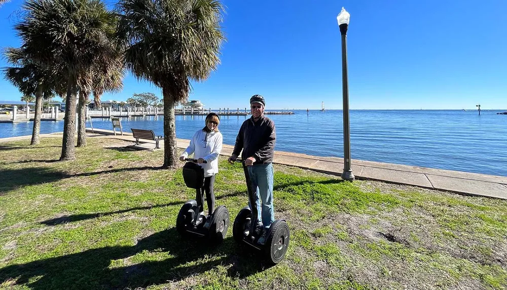 Two people are standing on Segways by the waterfront on a sunny day with palm trees and a pier in the background