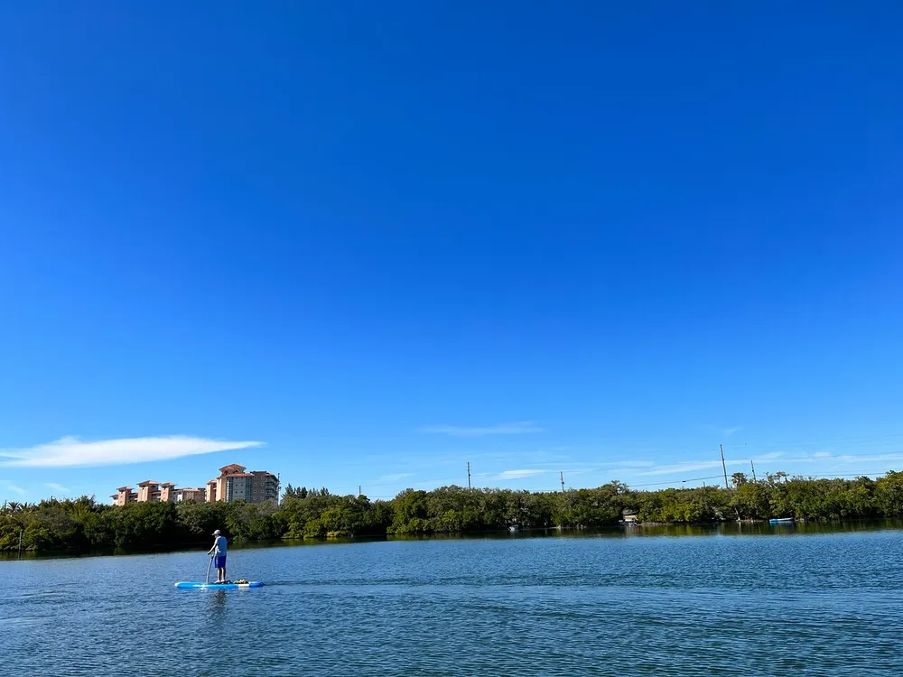 A person is paddleboarding on calm blue waters under a vast blue sky with a backdrop of lush greenery and buildings near the horizon