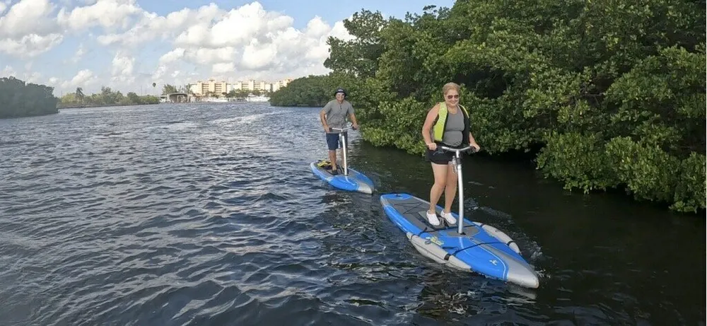 Two people are paddleboarding on a calm waterway near a mangrove with buildings in the background