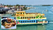 Calypso Breeze Sightseeing, Lunch, and Dinner Cruises