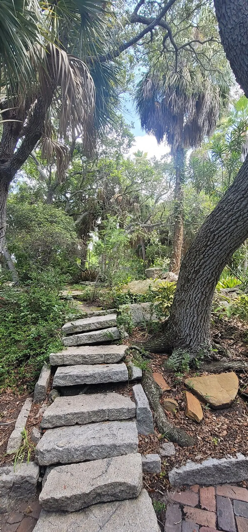 A stone pathway leads through a lush green garden filled with trees and plants evoking a serene natural environment