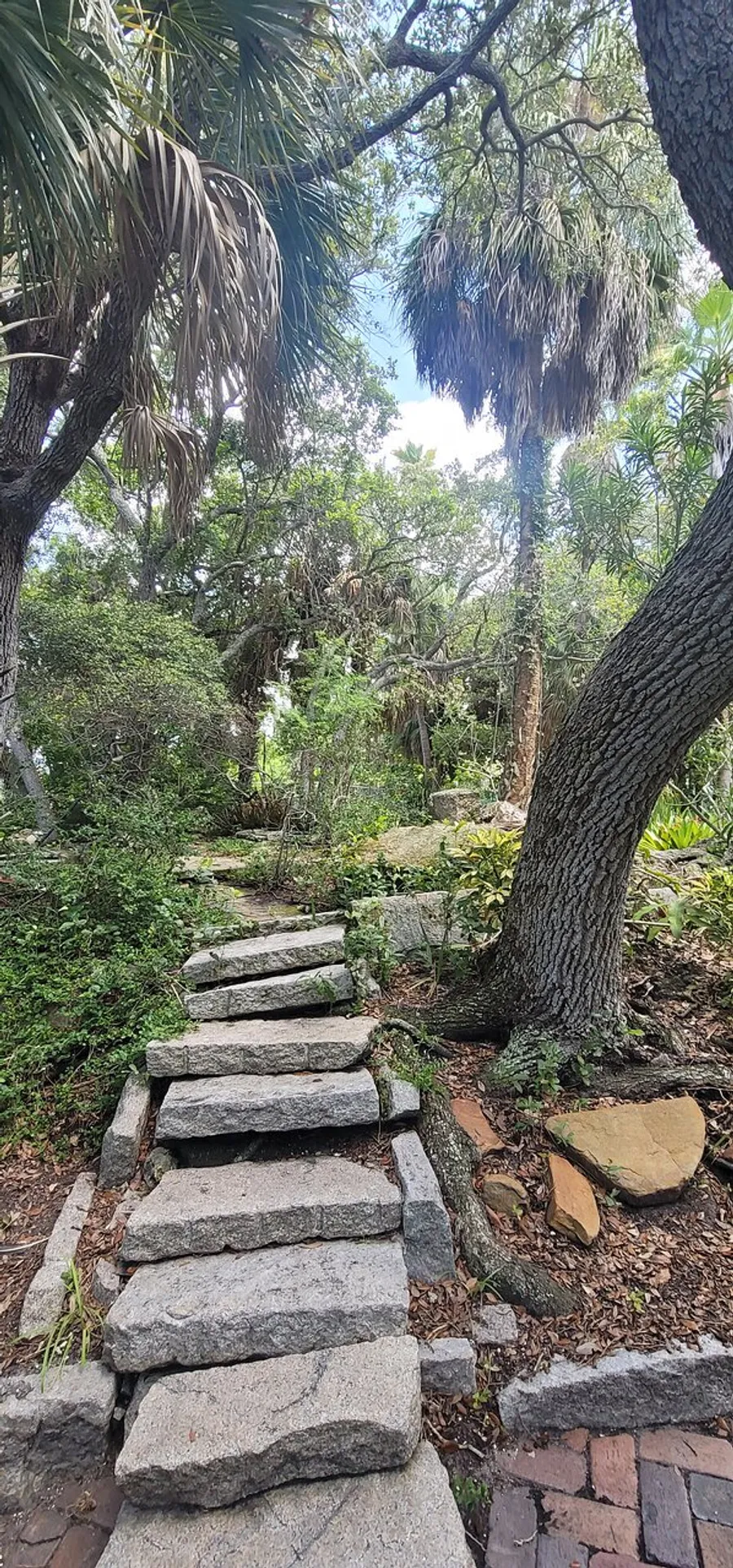 A stone pathway leads through a lush, green garden filled with trees and plants, evoking a serene natural environment.