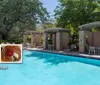 Outdoor Pool at Embassy Suites Busch Gardens