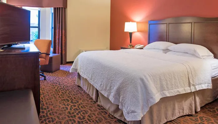 Hampton Inn & Suites Tampa North Photo