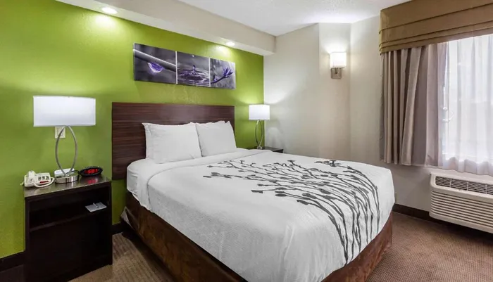 The image displays a modernly furnished hotel room with a queen-sized bed lime green accent wall decorative artwork and matching bedside lamps