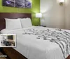 Photo of Sleep Inn - Tampa FL Room