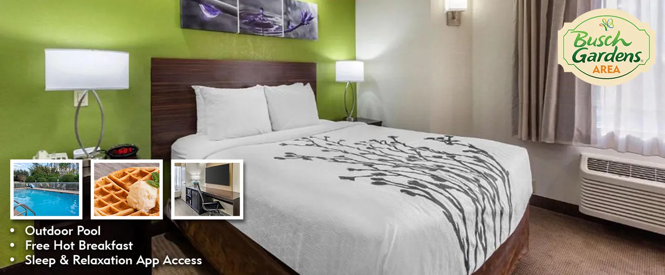 Sleep Inn - Tampa, FL