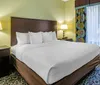 Room Photo for Comfort Suites At Fairgrounds-Casino